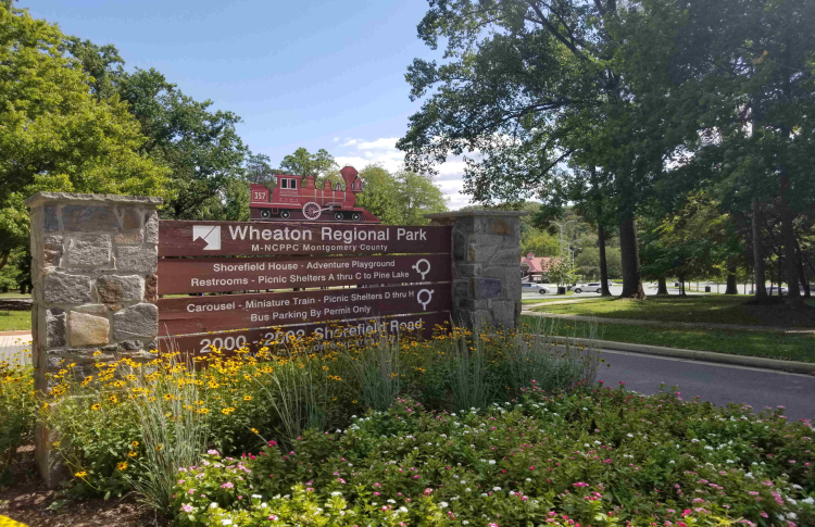 fun things to do in silver spring wheaton regional park