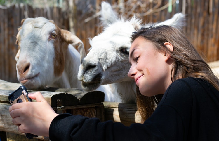 fun things to do in Atlanta, zoo atlanta
