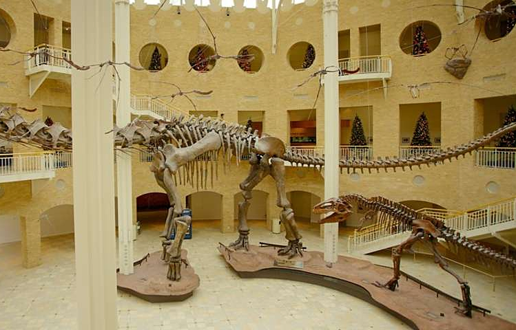 fun things to do in atlanta - fernbank museum